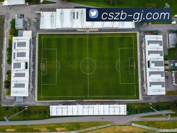 彩神争霸平台生态图